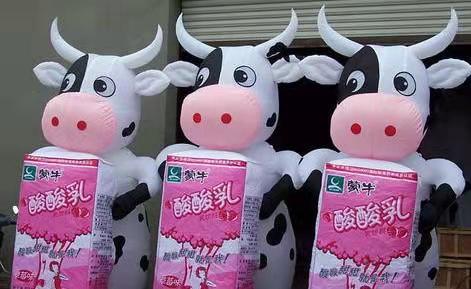 阜沙镇牛奶包装广告气模